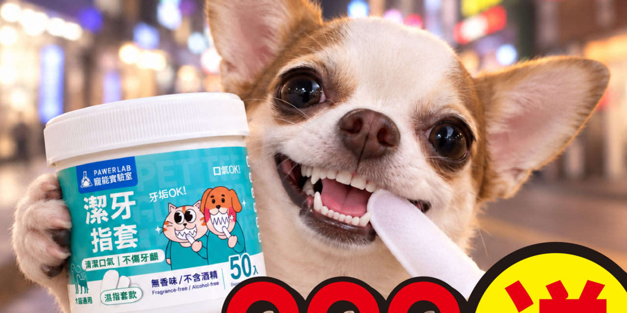 九月狗ㄍㄠˋ賀康！貓咪也有好康～