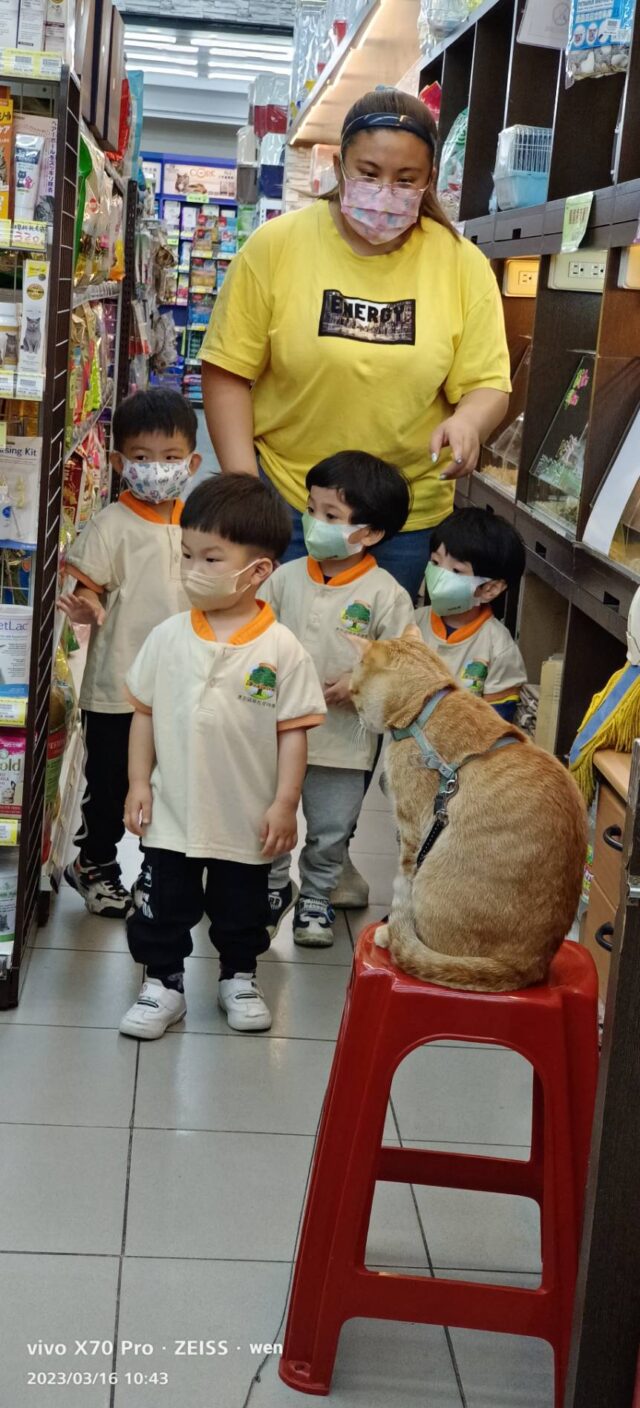 20230316-奧斯福爾幼兒園-苓雅校X貓狗大棧校外參觀