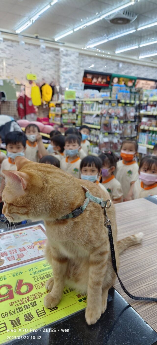 2023/03/22幼兒園校外參觀in建國店