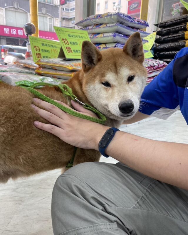 20230312-貓狗大棧明華店認養會