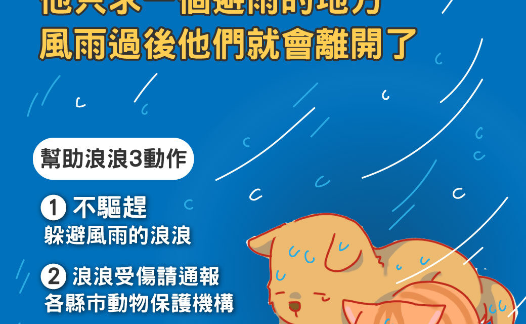 小犬颱風來襲，貓狗大棧與您一起關懷浪浪