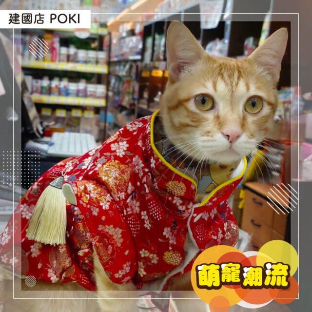 貓狗時裝秀-萌寵潮流-POKI