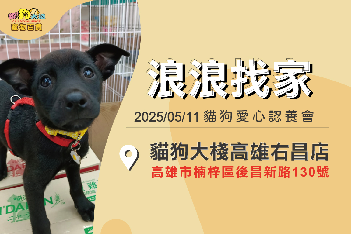 20250509-右昌寵物認養-官網