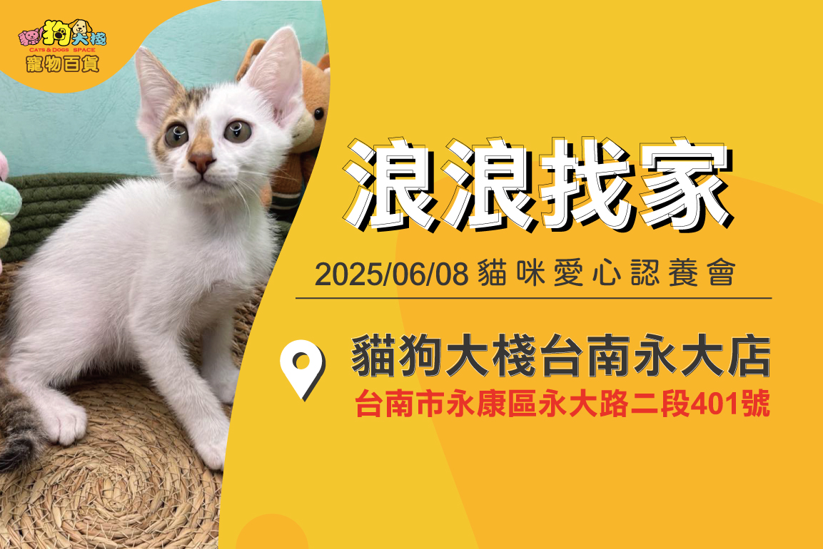20250608-寵物認養-官網