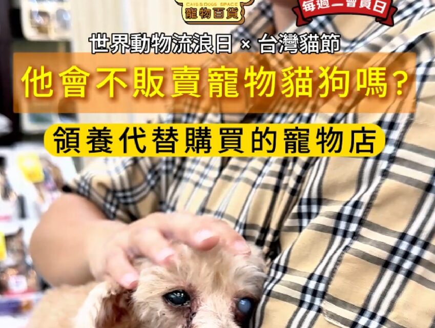 世界動物流浪日 × 台灣貓節 3/31（二）會員日限定