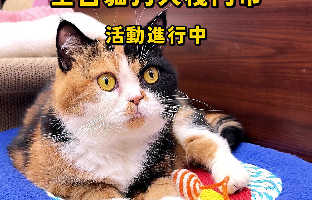 九月狗ㄍㄠˋ賀康 延長加碼！！！