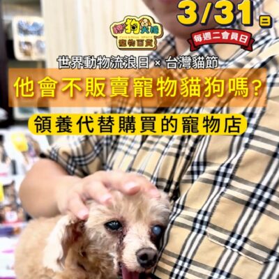 世界動物流浪日 × 台灣貓節 3/31（二）會員日限定