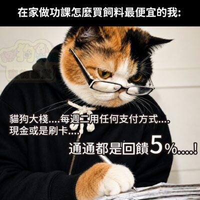 怎麼買最便宜?選會員日就對了