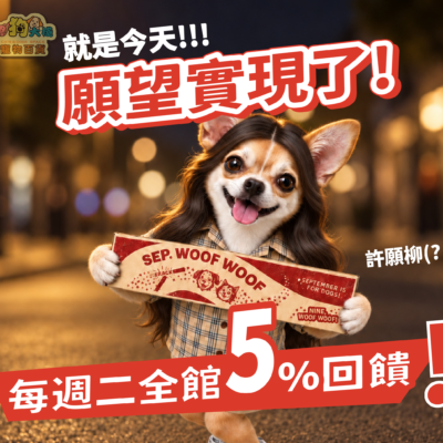 願望不用許，會員日直接實現！