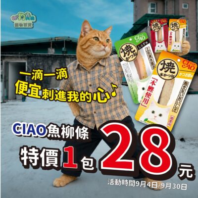 一滴一滴～便宜刺進我的心